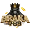 BRAKA789